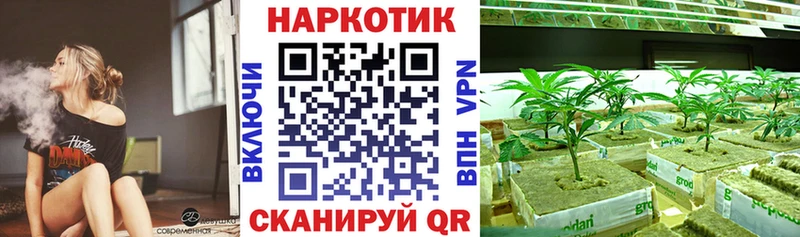 Наркота Лукоянов Псилоцибиновые грибы  МАРИХУАНА  A-PVP  Мефедрон  ГАШ 
