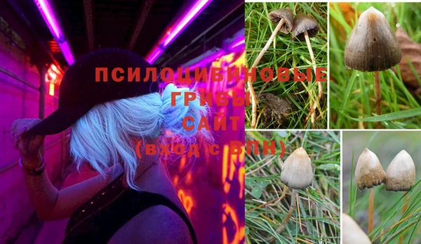 наркотики Алзамай