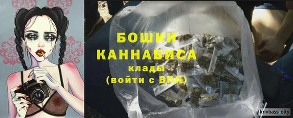 крисы Абдулино