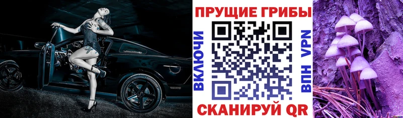 где купить наркотик  Лукоянов  Галлюциногенные грибы ЛСД 
